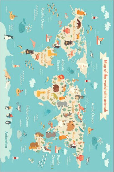 ASIR Koberec 80 x 150 MAPA více barev