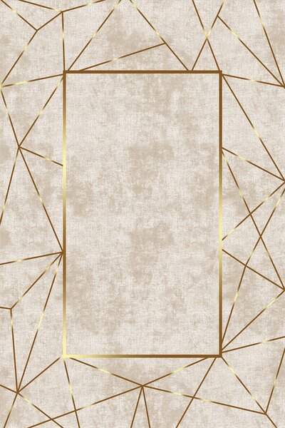 ASIR Koberec 80 x 120 GOLD více barev
