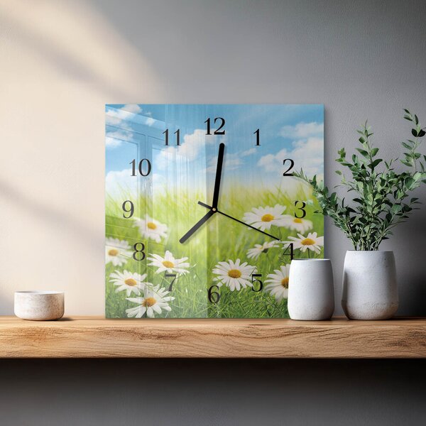 Skleněné hodiny na stěnu Louka zskc-30x30-00179092