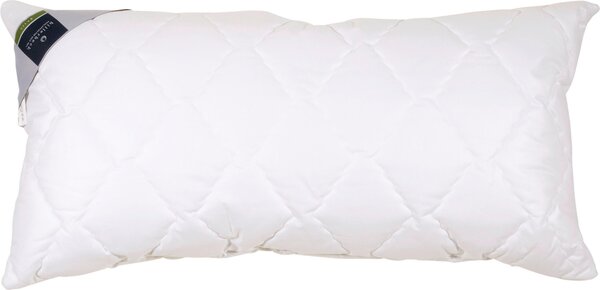 POLŠTÁŘ POD HLAVU, 40/80 cm Billerbeck - Polštáře pod hlavu