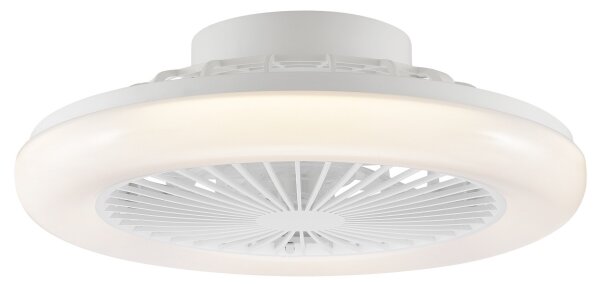 Brilliant - LED Stm stropní svítidlo s ventilátorem MONTERO LED/20W/230V bílá+DO