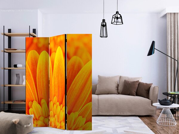 OBOUSTRANNÝ PARAVÁN, 135/172/3 cm artgeist, Online Only