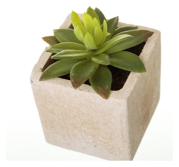 Umělé rostliny v sadě 6 ks (výška 9,5 cm) Cactus – Casa Selección