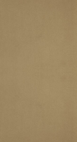 ZATEMŇOVACÍ ZÁVĚS NA KROUŽCÍCH ANTARA 140X270 CM TMAVĚBÉŽOVÁ