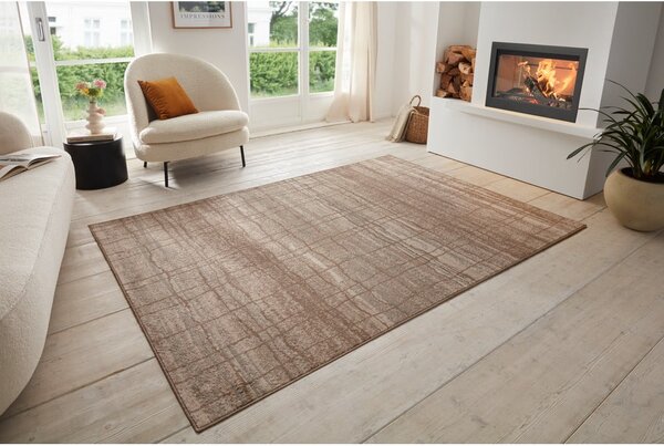 Hnědo-béžový koberec 80x120 cm Terrain – Hanse Home