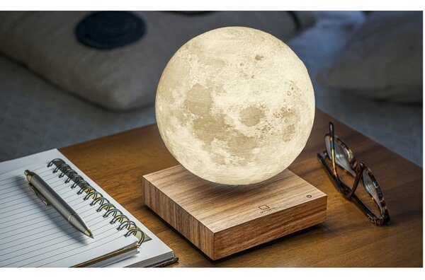 Hnědá světelná dekorace do zásuvky ø 12 cm Moon – Gingko