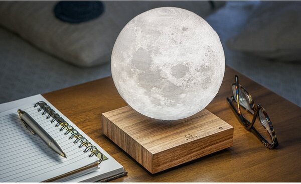 Hnědá světelná dekorace do zásuvky ø 12 cm Moon – Gingko