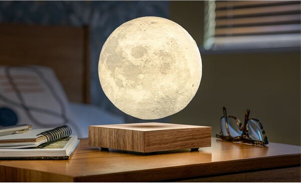 Hnědá světelná dekorace do zásuvky ø 12 cm Moon – Gingko