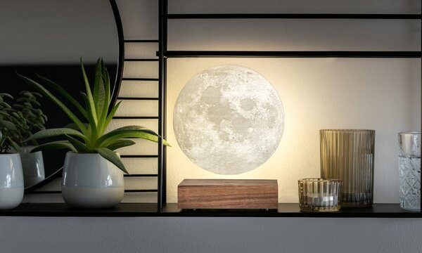 Hnědá světelná dekorace do zásuvky ø 12 cm Moon – Gingko
