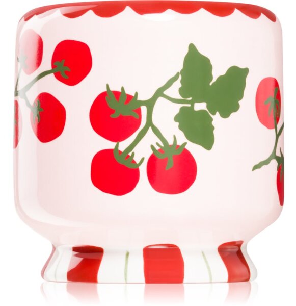 Paddywax A Dopo Tomato Vine vonná svíčka 226 g