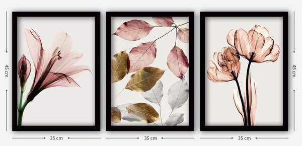 Obrazy v sadě 3 ks 35x45 cm – Wallity