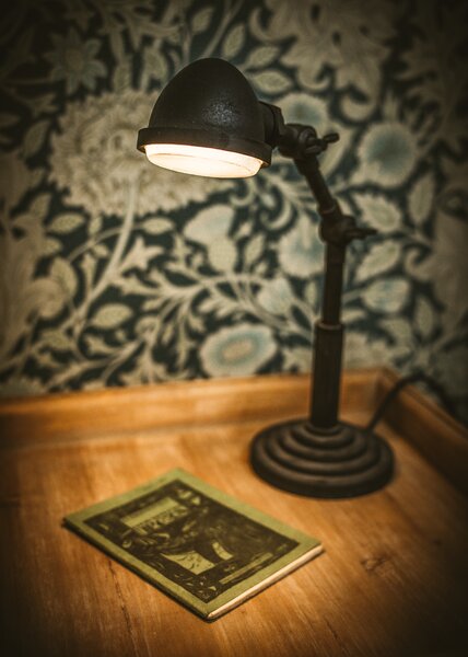 Industriální stolní lampa ANAKIN Barva: stříbrná