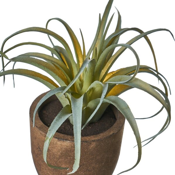 Umělé rostliny v sadě 4 ks (výška 10 cm) Cactus – Casa Selección