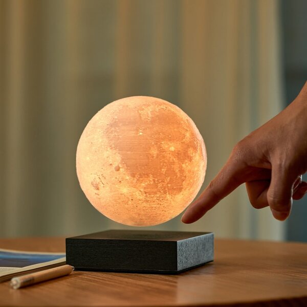 Černá světelná dekorace do zásuvky ø 12 cm Moon – Gingko