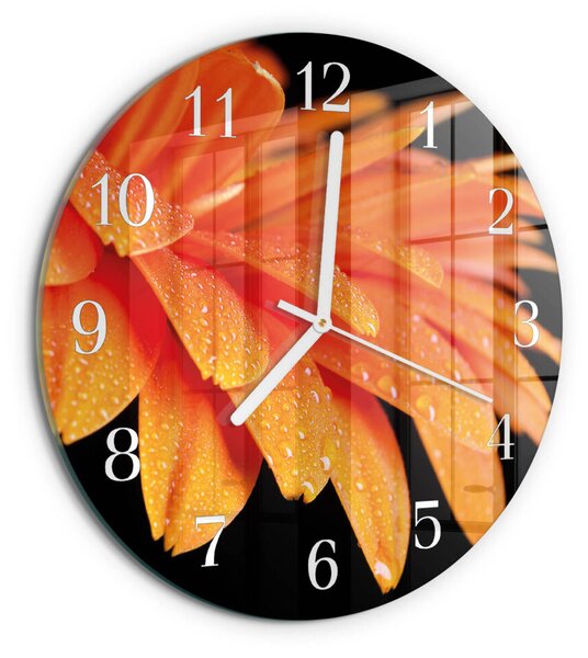 Skleněné hodiny na stěnu Gerbera zsob-fi30-00084652