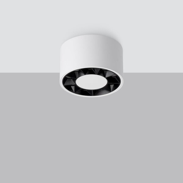 Stropní LED svítidlo Dio, 1x LED 10w, 4000k, w