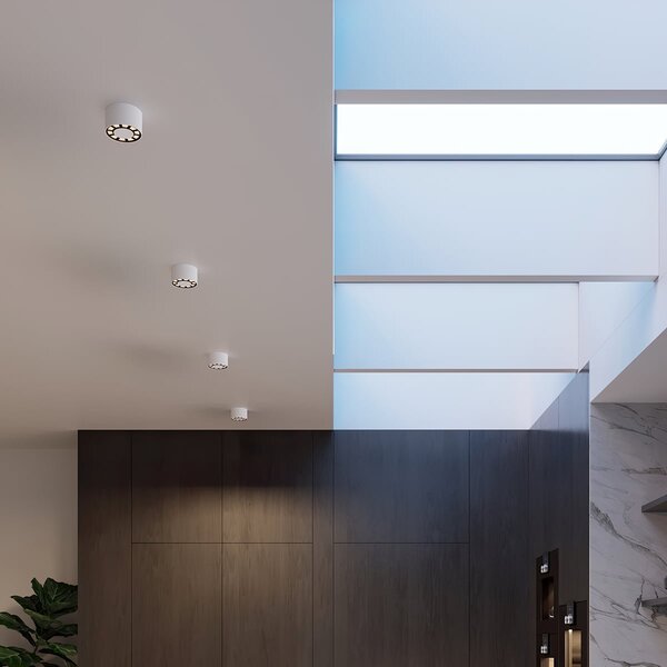 Stropní LED svítidlo Dio, 1x LED 10w, 4000k, w