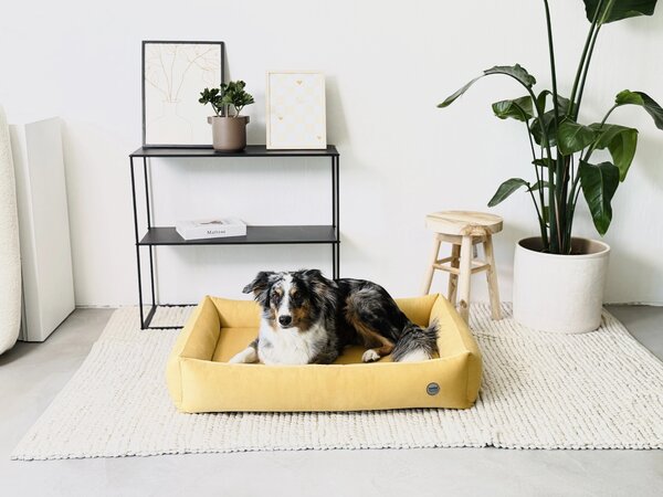 Bambol Pelech OrthoComfort Bambol, žlutý Velikost: L - 85 x 60 cm