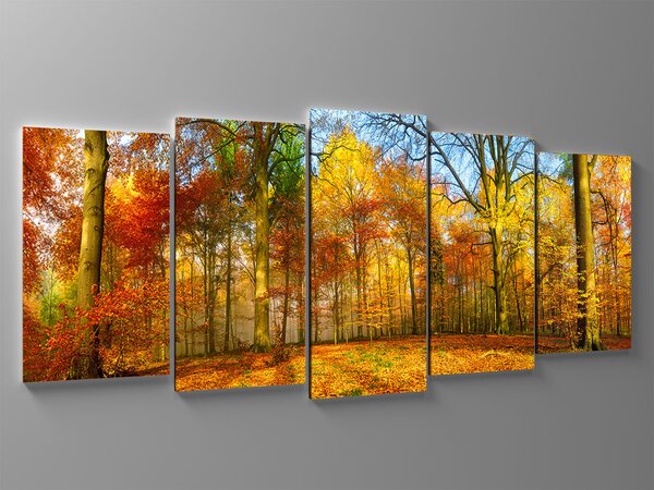 Liox Obraz barevný podzim Rozměr: 100 x 45 cm