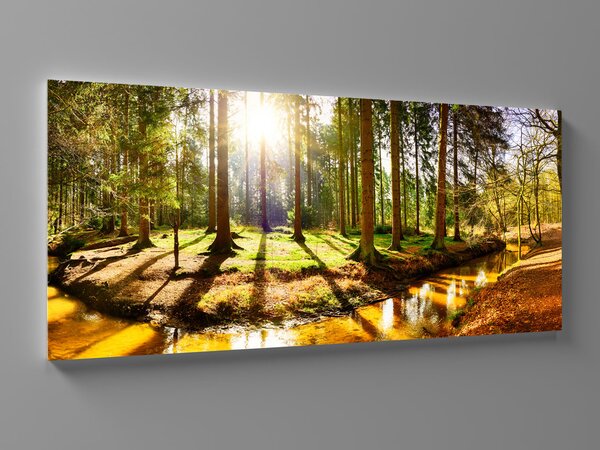Liox Obraz řeka v lese Rozměr: 100 x 45 cm