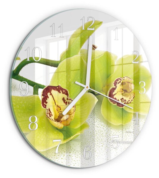 Skleněné hodiny na stěnu Orchidej zsob-fi30-00084027