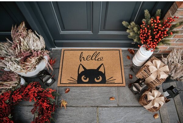 Rohožka 70x45 cm Mix Mats – Hanse Home