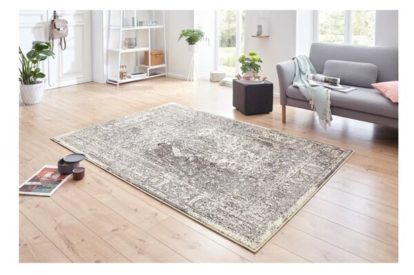 Šedo-krémový koberec Hanse Home Celebration Plume, 120 x 170 cm