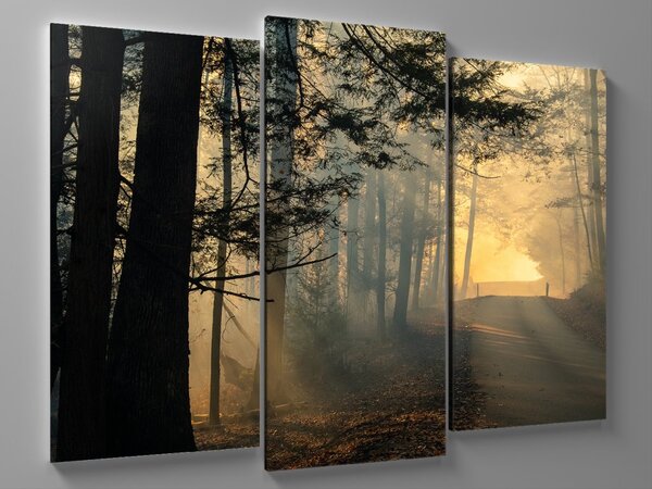 Liox OBRAZ CESTA Z RANNÍHO LESA Rozměr: 120 x 80 cm