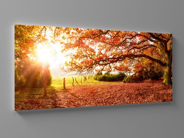 Liox Obraz podzimní krajina Rozměr: 100 x 45 cm