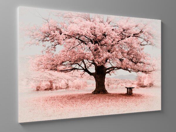 Liox Obraz růžový strom Rozměr: 100 x 65 cm