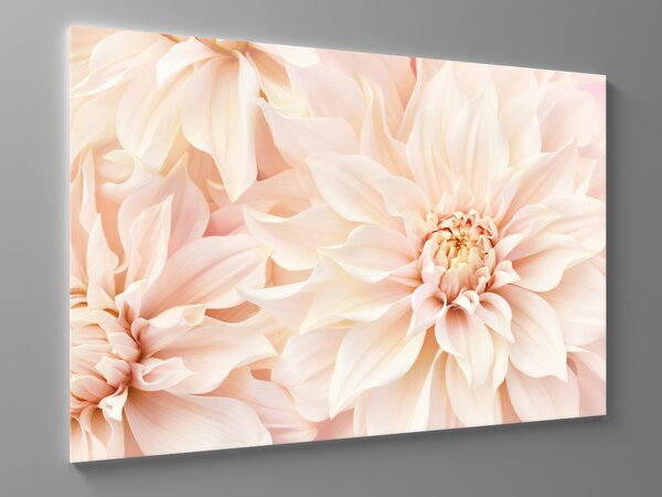 Liox Obraz růžové květy Rozměr: 100 x 65 cm