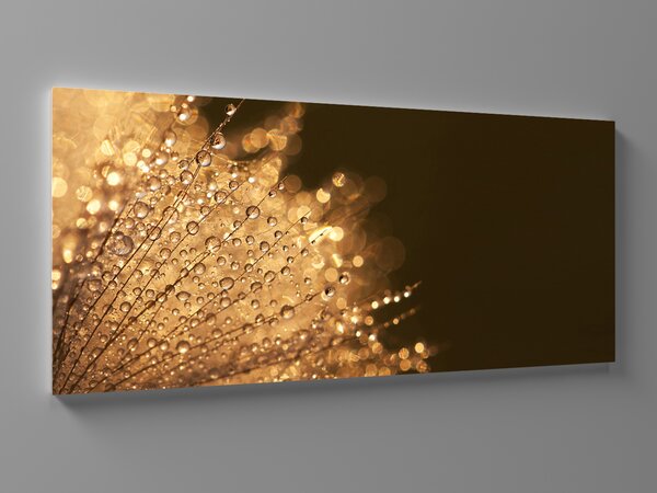 Liox Obraz zlaté kapky rosy Rozměr: 100 x 45 cm