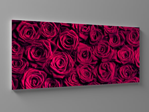 Liox Obraz červené růže Rozměr: 100 x 45 cm