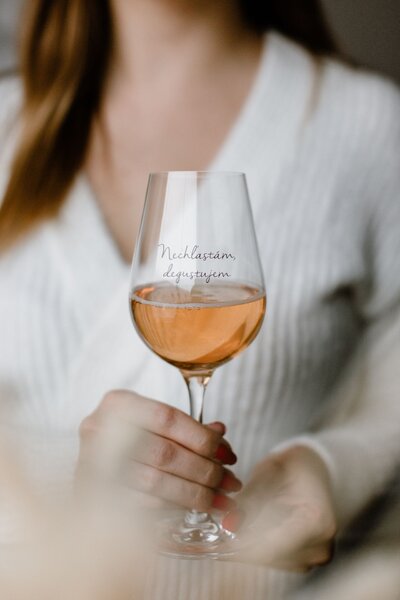 Sklenice na víno Nechľastám, degustujem – SK