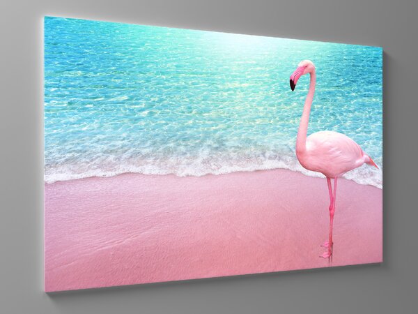 Liox Obraz plameňák na pláži Rozměr: 100 x 65 cm