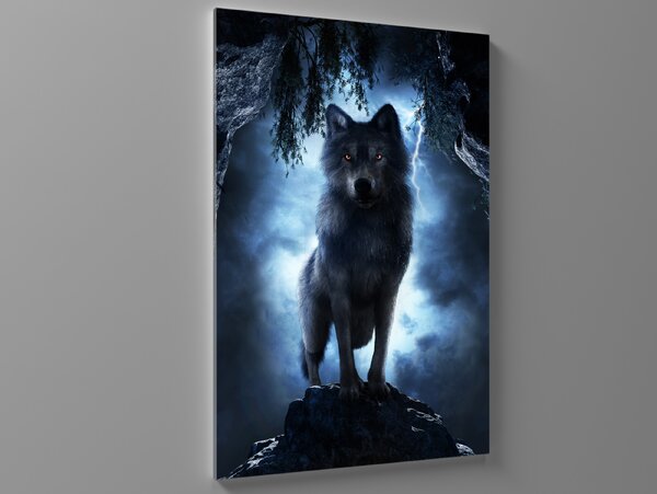 Liox Obraz vlk v bouři Rozměr: 65 x 100 cm
