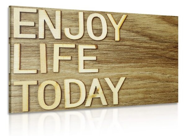Obraz s citací - Enjoy life today