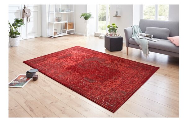Červený koberec Hanse Home Celebration Plume, 120 x 170 cm
