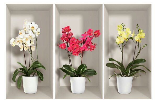 Sada 3 3D samolepek na zeď Ambiance Orchids