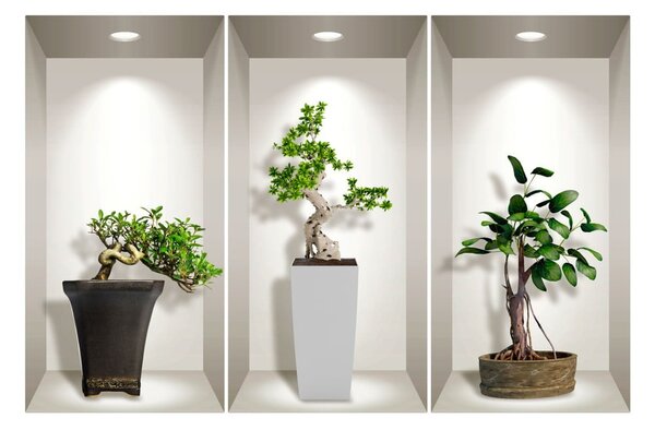 Sada 3 3D samolepek na zeď Ambiance Bonsai Plants