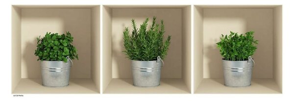 Sada 3 samolepek s 3D efektem Ambiance Herbs in Pot