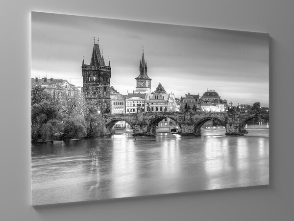 Liox Černobílý obraz Praha Rozměr: 40 x 25 cm