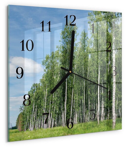 Skleněné hodiny na stěnu Břízy zskc-30x30-00177703
