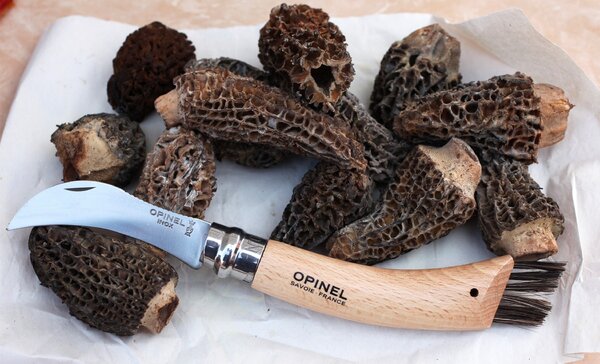 Houbařký nůž OPINEL s kartáčkem 001252