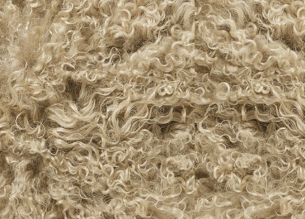 Skinnwille Home Collection Polštář Light Beige, tibetská kožešina, béžová, 40x40 cm