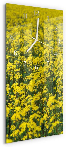 Skleněné hodiny vertikální Pole květin zsppb-30x60-00083275