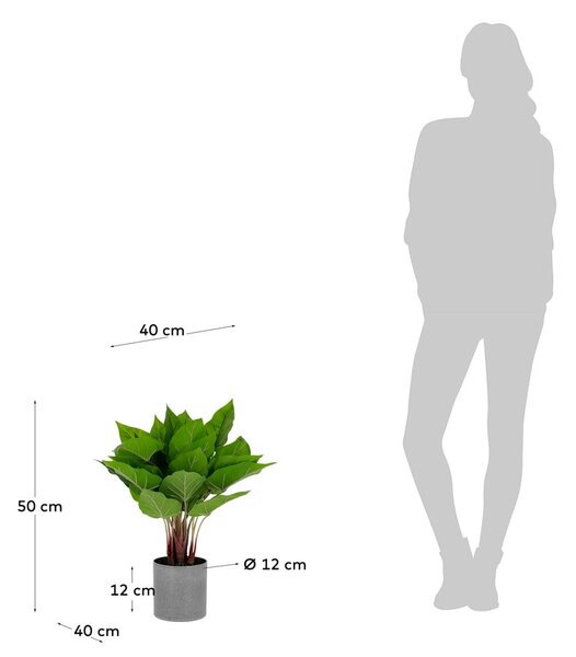 Umělá květina Toulitka Kave Home, výška 50 cm