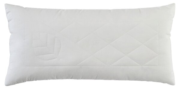 POLŠTÁŘ POD HLAVU, 40/80 cm Sleeptex - Polštáře pod hlavu, Online Only