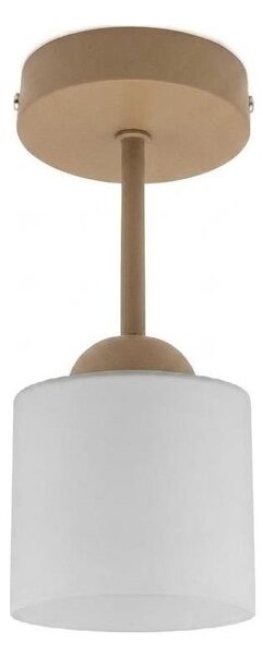 BRILAGI - LED Přisazený lustr RETRO GLASS 1xE27/60W/230V pr. 10 cm béžová/bílá