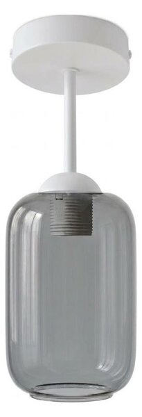 BRILAGI - LED Přisazený lustr R GLASS 1xE27/60W/230V pr. 14 cm bílá/kouř šedá